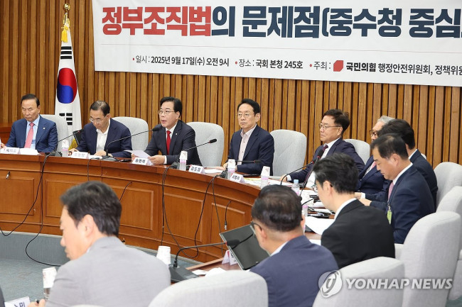 국민의힘 정부조직법 토론회